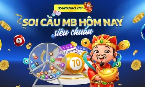 Soi Cầu MB Top