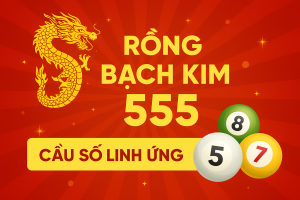 Rồng Bạch Kim 555