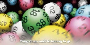 Nuôi lô khung là gì