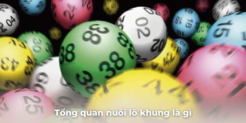 Nuôi lô khung là gì