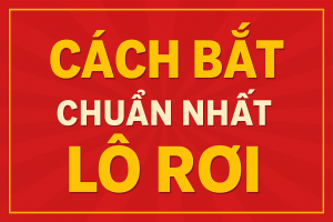 Cách Bắt Lô Rơi Chuẩn Nhất – Bí Kíp Trúng Lớn Cho Anh Em Lô Thủ