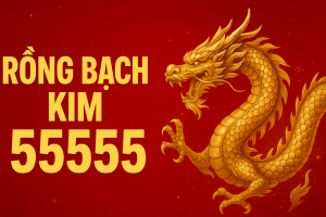 RỒNG BẠCH KIM 55555 – CAO THỦ SOI CẦU CHUẨN XÁC HÀNG ĐẦU MIỀN BẮC