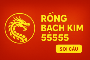 Rồng Bạch Kim 555 – Chuyên Trang Phân Tích Cầu Số Theo Dữ Liệu