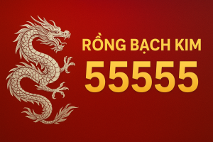 Rồng Bạch Kim 55555 – Cao Thủ Soi Cầu Miền Bắc Chuẩn Xác Nhất