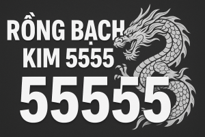 Rồng Bạch Kim 55555 – Giải Mã Thuật Ngữ Đang Gây Sốt Trên Mạng