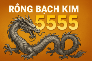 Rồng Bạch Kim 55555 – Giải Mã Ý Nghĩa & Thuật Toán Thống Kê Hot Nhất