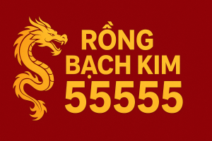 Rồng Bạch Kim 55555 – Khái Niệm, Ý Nghĩa & Vai Trò Trong Nội Dung Thống Kê Hiện Đại