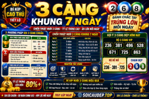 3 CÀNG KHUNG 7 NGÀY – BÍ KÍP NUÔI 3 CÀNG HIỆU QUẢ, TỶ LỆ TRÚNG CAO
