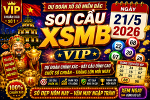 Dự Đoán XSMB Ngày 21-05-2026 – Soi Cầu Miền Bắc VIP Chuẩn Xác Hôm Nay