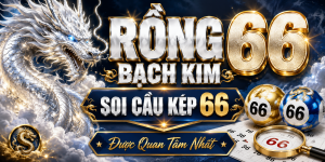 Rồng Bạch Kim 66 – Soi Cầu Kép 66 Được Quan Tâm Nhất