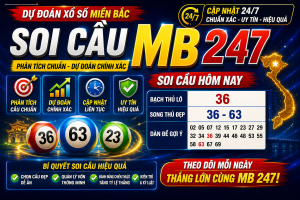 Soi Cầu MB 247 – Dự Đoán Xổ Số Miền Bắc Chuẩn Xác Mỗi Ngày